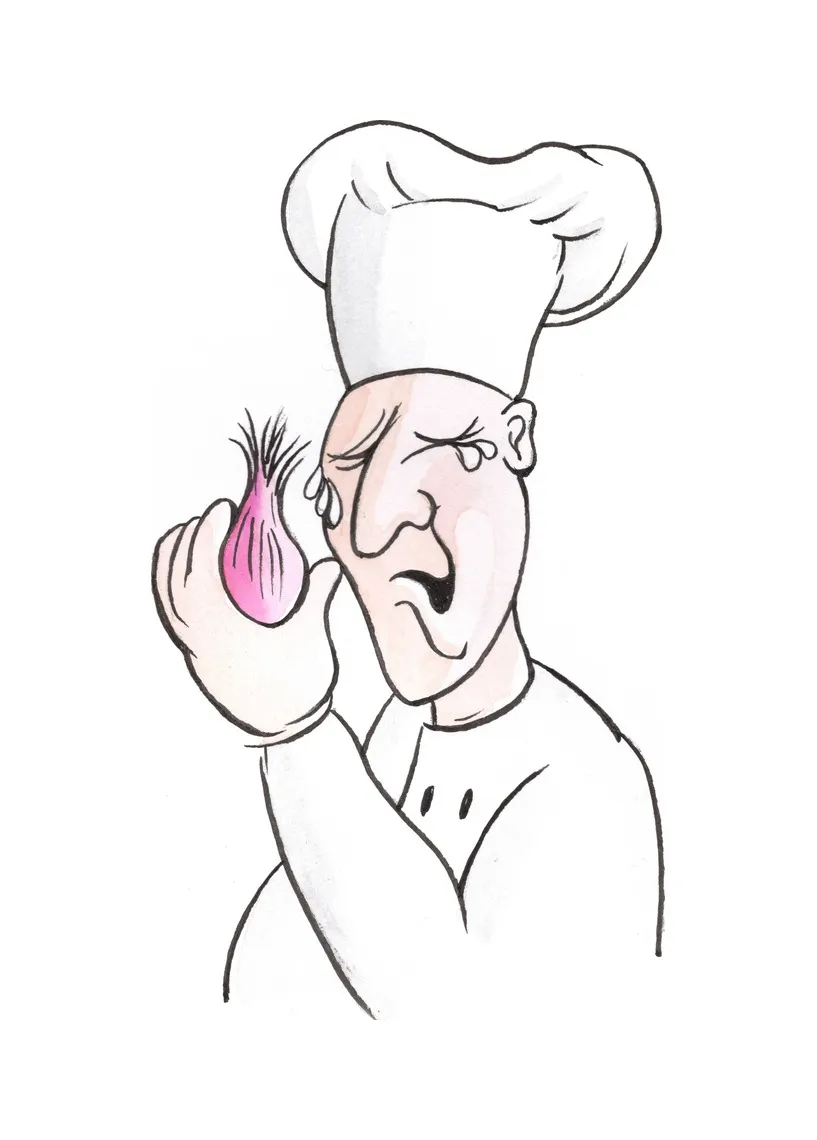 Back cover illustration: the same chef crying from the onion